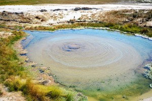 The Bubbler mound spring