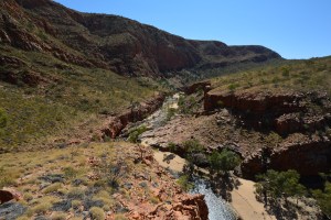 ormiston gorge from lookout