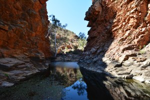 serpentine gorge